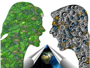 开云体育网站-基层足球发展如何打破资源壁垒,足球如何突破 第3张